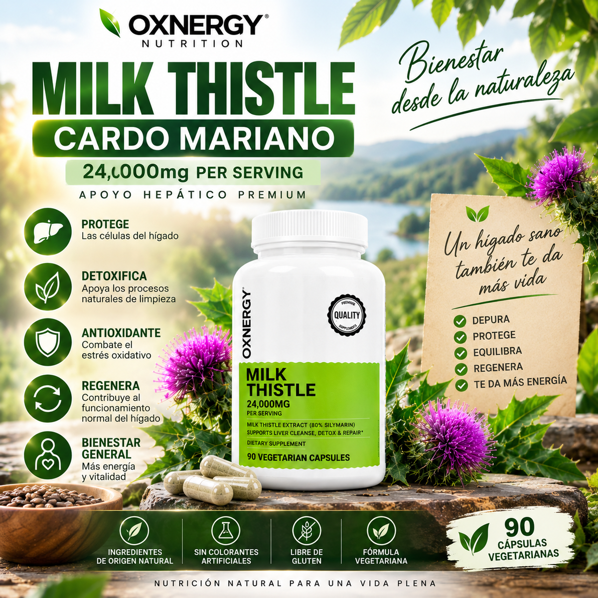 MILK THISTLE – CARDO MARIANO