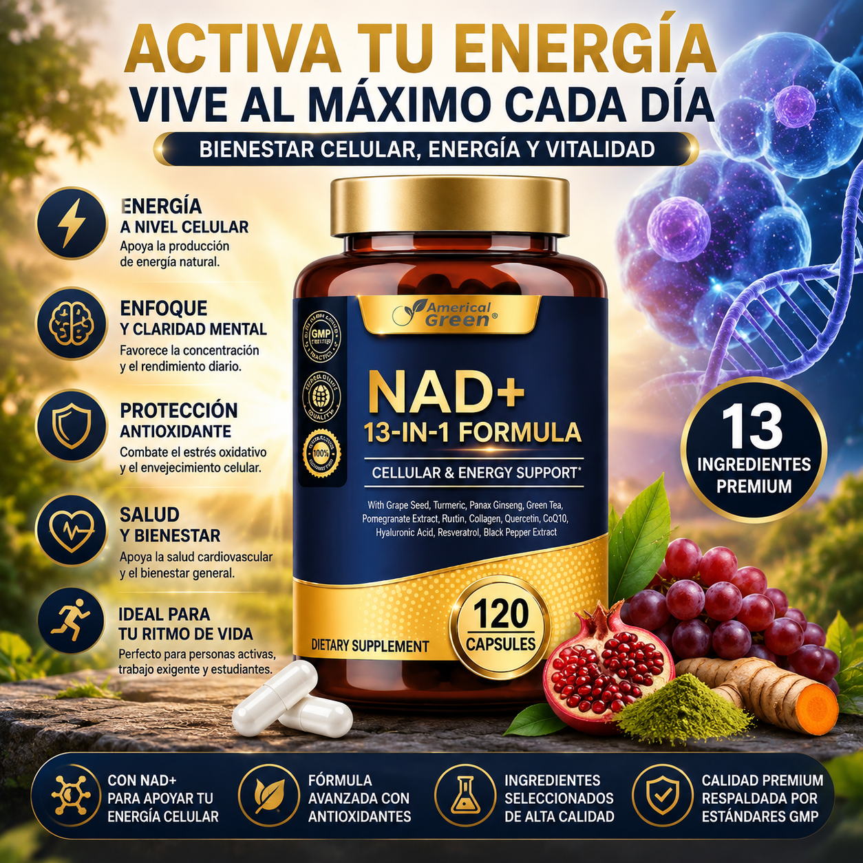 NAD+ 13-IN-1 FORMULA