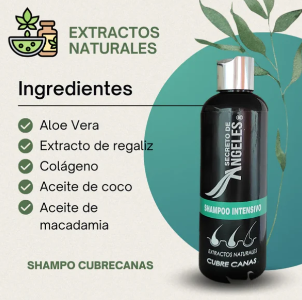 SHAMPOO CUBRECANAS CUBREMAX