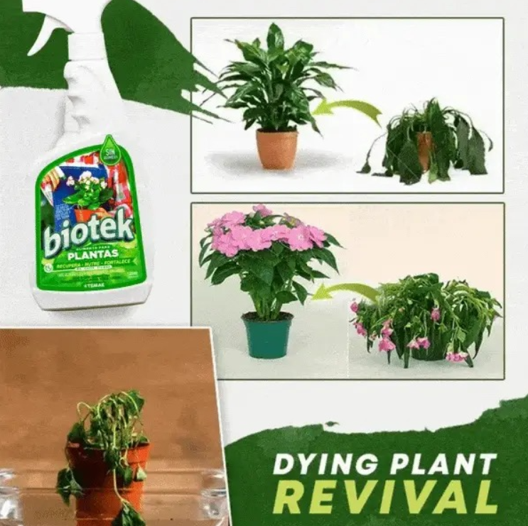 BIOTEK® ALIMENTO REVITALIZADOR DE PLANTAS SIN QUÍMICOS