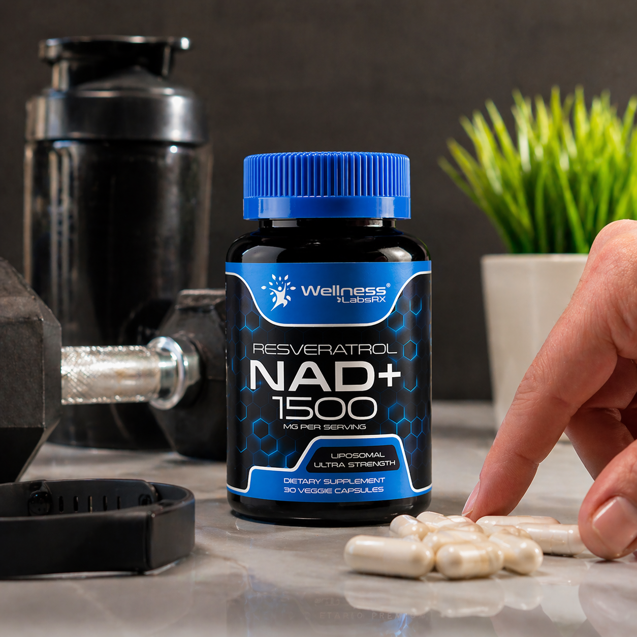 RESVERATROL NAD+1500