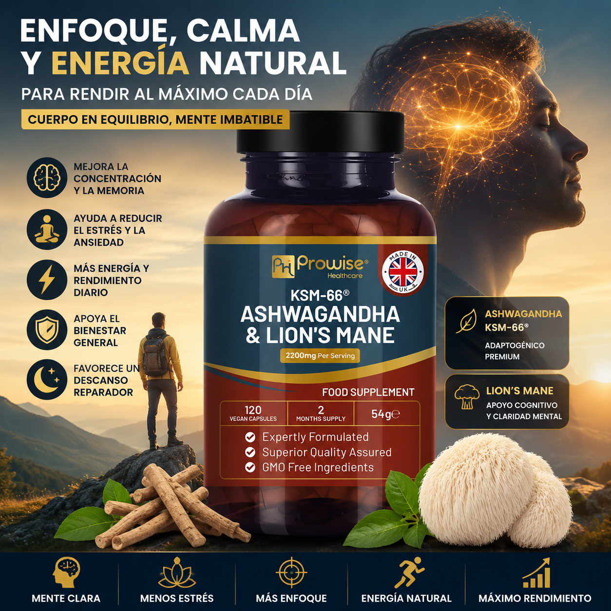 ASHWAGANDHA & LION'S MANE