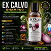 EX CALVO SHAMPOO