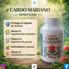 CARDO MARIANO