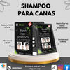 SHAMPOO PARA CANAS